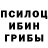 Псилоцибиновые грибы ЛСД Veronika Lodzh