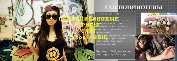 хмурый Алзамай
